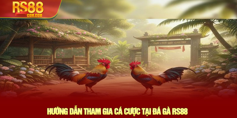 Đá gà RS88 - Trải nghiệm cá cược Đá gà trực tiếp đỉnh cao 3 Hướng Dẫn Tham Gia Cá Cược Tại Đá Gà RS88