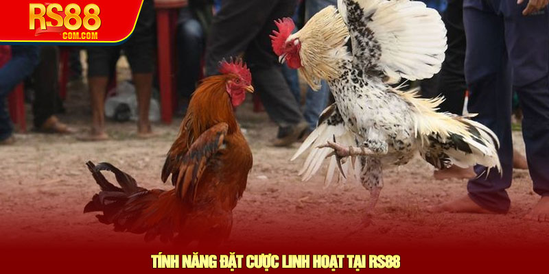 Đá gà cựa sắt - Chiến thuật chọn kèo và lợi thế tại RS88 4 Tính Năng Đặt Cược Linh Hoạt Tại RS88